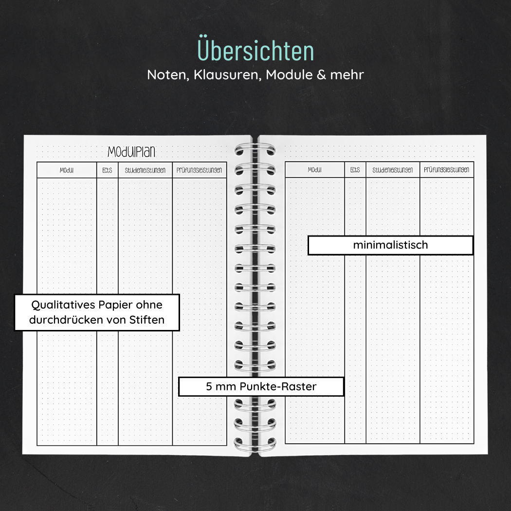 Fernuni Planer IU Edition Master 60 ECTS - Original A4